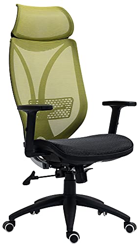 CLP Bürostuhl Libolo I Ergonomischer Schreibtischstuhl Mit Kopfstütze & Armlehnen, Farbe:grün