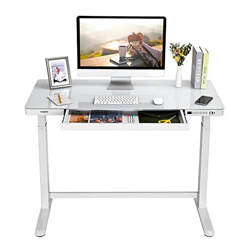 Flexipot EG8 Elektrisch Höhenverstellbarer Schreibtisch mit Touch Funktion & USB, Elektrischer Schreibtisch, Glas Tischplatte